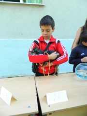 DSCN3877