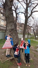 FB_IMG_1646158833221