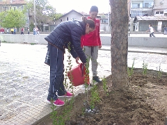 Снимка0943