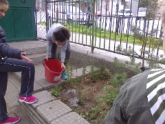 Снимка0944